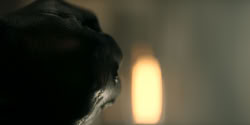 extant_HouseOfTheDragon_2x08_TheQueenWhoEverWas_5931