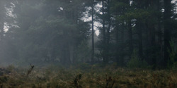 HouseOfTheDragon_3x01-SaltAndSeaFireAndBlood_1292