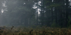 HouseOfTheDragon_3x01-SaltAndSeaFireAndBlood_1293