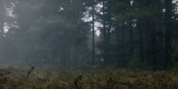 HouseOfTheDragon_3x01-SaltAndSeaFireAndBlood_1295