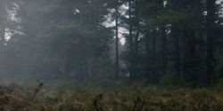 HouseOfTheDragon_3x01-SaltAndSeaFireAndBlood_1296