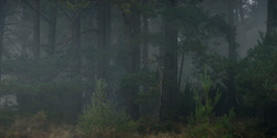 HouseOfTheDragon_3x01-SaltAndSeaFireAndBlood_1315