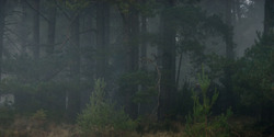 HouseOfTheDragon_3x01-SaltAndSeaFireAndBlood_1316