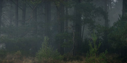 HouseOfTheDragon_3x01-SaltAndSeaFireAndBlood_1317
