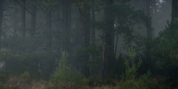 HouseOfTheDragon_3x01-SaltAndSeaFireAndBlood_1318