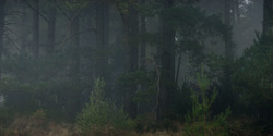 HouseOfTheDragon_3x01-SaltAndSeaFireAndBlood_1319