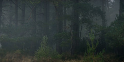 HouseOfTheDragon_3x01-SaltAndSeaFireAndBlood_1320