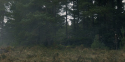 HouseOfTheDragon_3x01-SaltAndSeaFireAndBlood_1326