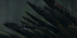 HouseOfTheDragon_3x01-SaltAndSeaFireAndBlood_1330