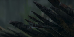 HouseOfTheDragon_3x01-SaltAndSeaFireAndBlood_1333
