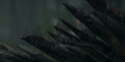 HouseOfTheDragon_3x01-SaltAndSeaFireAndBlood_1334