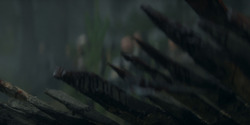 HouseOfTheDragon_3x01-SaltAndSeaFireAndBlood_1335