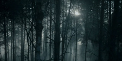 HouseOfTheDragon_3x01-SaltAndSeaFireAndBlood_1463
