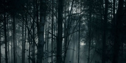 HouseOfTheDragon_3x01-SaltAndSeaFireAndBlood_1465