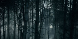 HouseOfTheDragon_3x01-SaltAndSeaFireAndBlood_1466