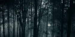 HouseOfTheDragon_3x01-SaltAndSeaFireAndBlood_1467