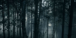HouseOfTheDragon_3x01-SaltAndSeaFireAndBlood_1469
