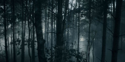 HouseOfTheDragon_3x01-SaltAndSeaFireAndBlood_1470