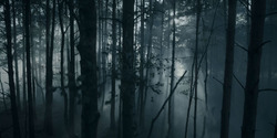 HouseOfTheDragon_3x01-SaltAndSeaFireAndBlood_1474