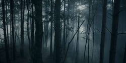 HouseOfTheDragon_3x01-SaltAndSeaFireAndBlood_1475