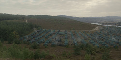 HouseOfTheDragon_3x01-SaltAndSeaFireAndBlood_2770