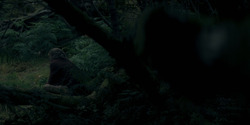 HouseOfTheDragon_3x01-SaltAndSeaFireAndBlood_3314