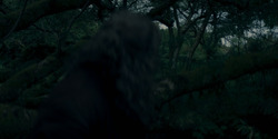 HouseOfTheDragon_3x01-SaltAndSeaFireAndBlood_3328
