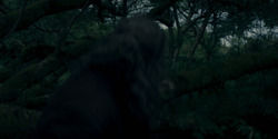 HouseOfTheDragon_3x01-SaltAndSeaFireAndBlood_3329