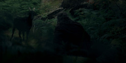 HouseOfTheDragon_3x01-SaltAndSeaFireAndBlood_3336