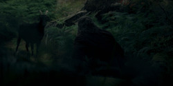 HouseOfTheDragon_3x01-SaltAndSeaFireAndBlood_3337