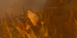 HouseOfTheDragon_3x01-SaltAndSeaFireAndBlood_5196