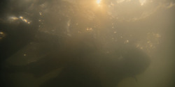 HouseOfTheDragon_3x01-SaltAndSeaFireAndBlood_5338