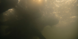 HouseOfTheDragon_3x01-SaltAndSeaFireAndBlood_5339