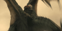 HouseOfTheDragon_3x01-SaltAndSeaFireAndBlood_5687