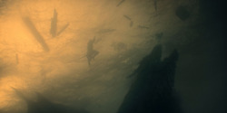 HouseOfTheDragon_3x01-SaltAndSeaFireAndBlood_5828