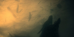 HouseOfTheDragon_3x01-SaltAndSeaFireAndBlood_5829