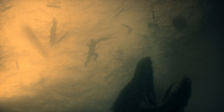 HouseOfTheDragon_3x01-SaltAndSeaFireAndBlood_5830