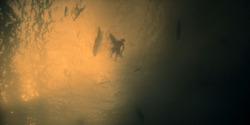 HouseOfTheDragon_3x01-SaltAndSeaFireAndBlood_5874