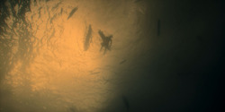HouseOfTheDragon_3x01-SaltAndSeaFireAndBlood_5875
