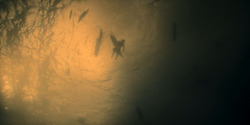 HouseOfTheDragon_3x01-SaltAndSeaFireAndBlood_5876
