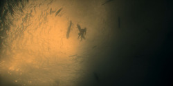 HouseOfTheDragon_3x01-SaltAndSeaFireAndBlood_5877