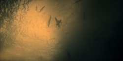 HouseOfTheDragon_3x01-SaltAndSeaFireAndBlood_5878