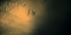 HouseOfTheDragon_3x01-SaltAndSeaFireAndBlood_5879
