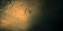 HouseOfTheDragon_3x01-SaltAndSeaFireAndBlood_5880