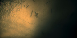 HouseOfTheDragon_3x01-SaltAndSeaFireAndBlood_5881