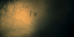 HouseOfTheDragon_3x01-SaltAndSeaFireAndBlood_5882