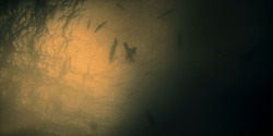 HouseOfTheDragon_3x01-SaltAndSeaFireAndBlood_5883