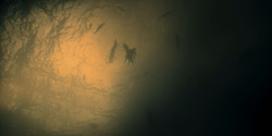 HouseOfTheDragon_3x01-SaltAndSeaFireAndBlood_5884