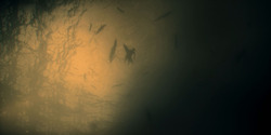 HouseOfTheDragon_3x01-SaltAndSeaFireAndBlood_5885