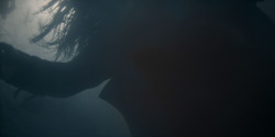 HouseOfTheDragon_3x02-QueensLanding_00047